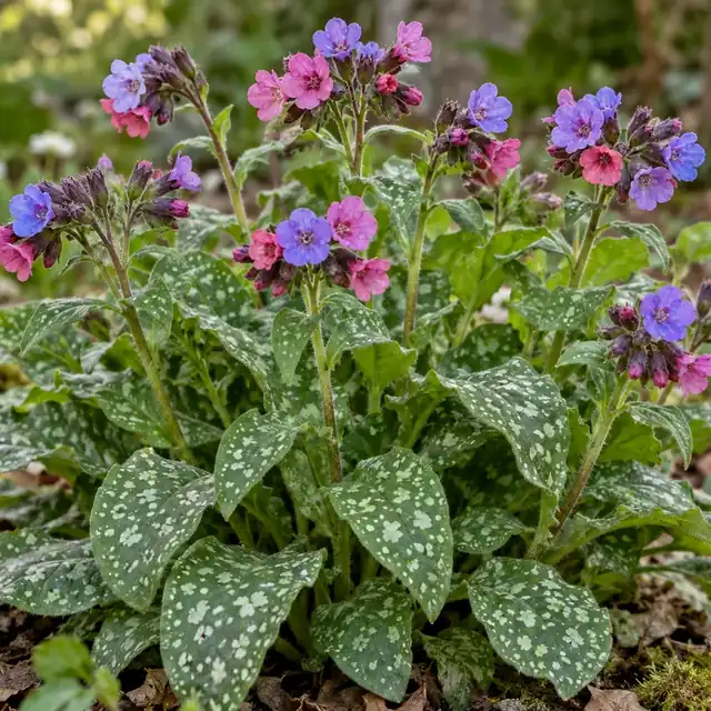 KI-generierte, botanisch ungeprüfte Illustration: Geflecktes Lungenkraut (Pulmonaria officinalis)