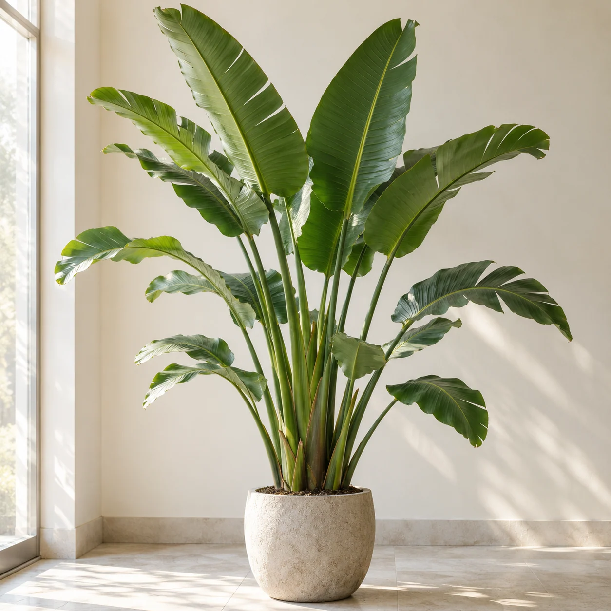 KI-generierte Darstellung: Strelitzie (Strelitzia nicolai)