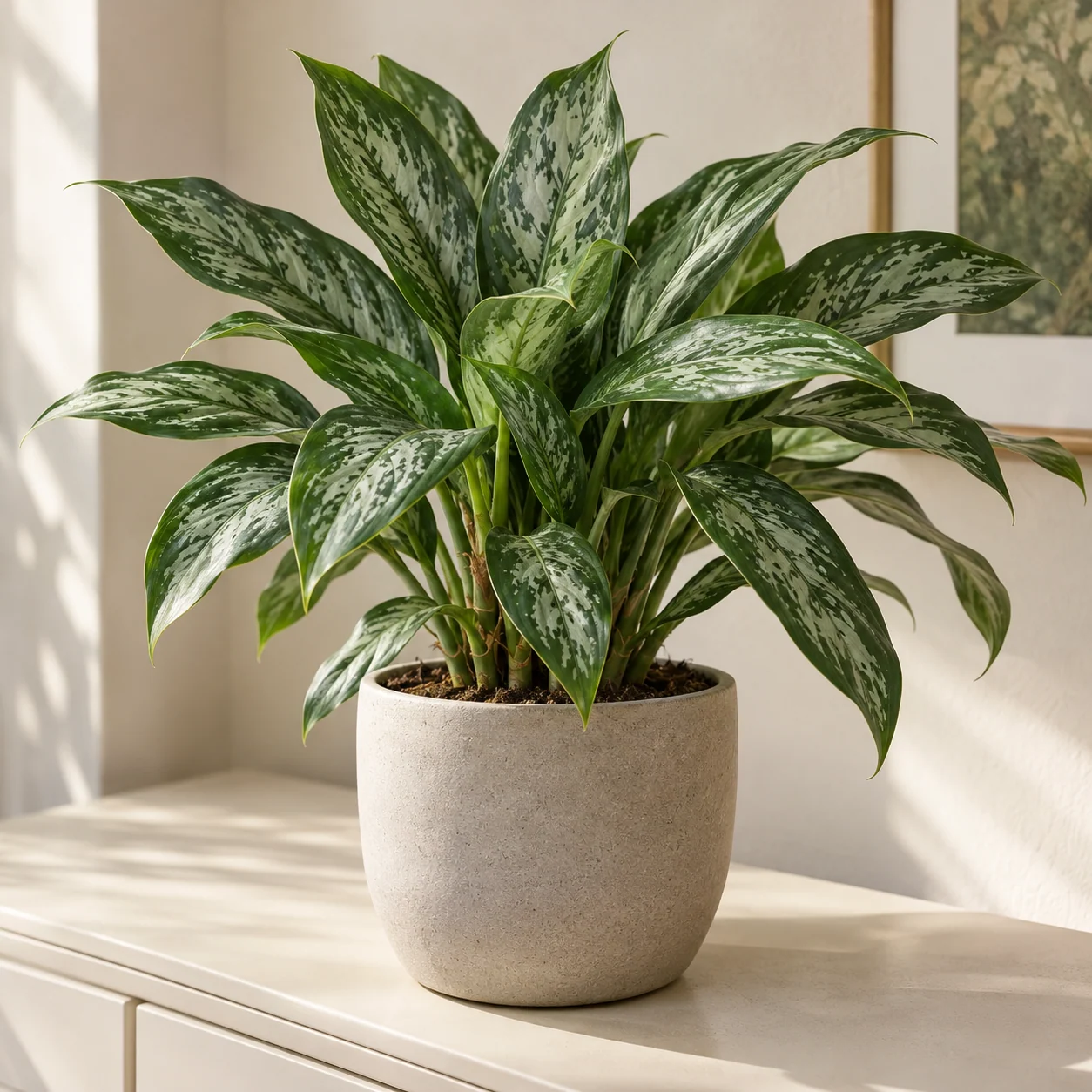 KI-generierte Darstellung: Kolbenfaden (Aglaonema commutatum)